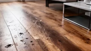 wymiana paneli podłogowych